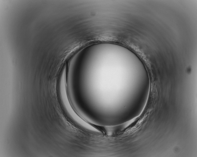 X0000098170201200805011021