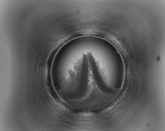 X0000098170202200805011021