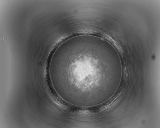 X0000098170203200805011021