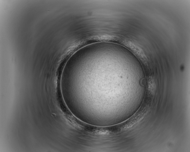 X0000098170206200805011021