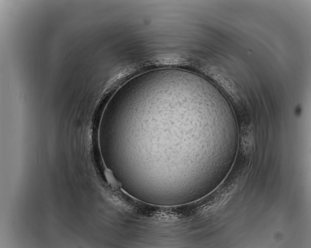 X0000098170207200805011021