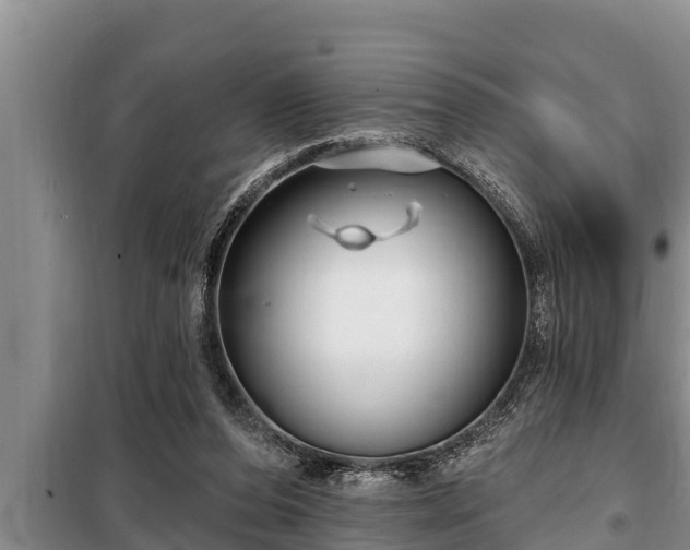 X0000098170208200805011021