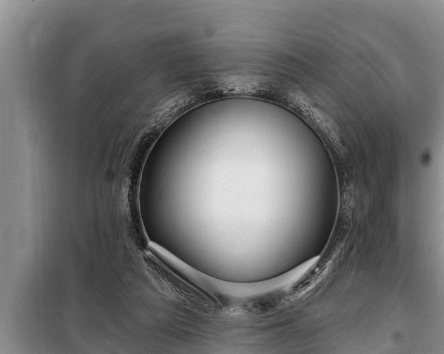 X0000098170209200805011021