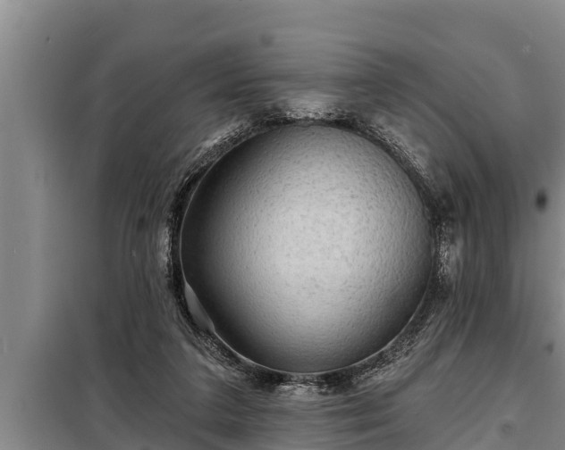 X0000098170211200805011021