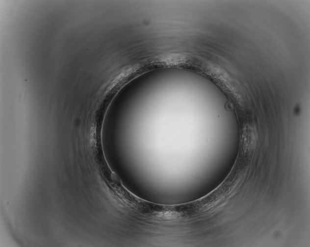 X0000098170212200805011021