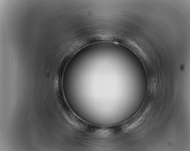 X0000098170213200805011021