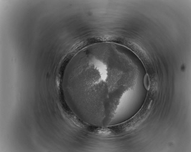 X0000098170214200805011021