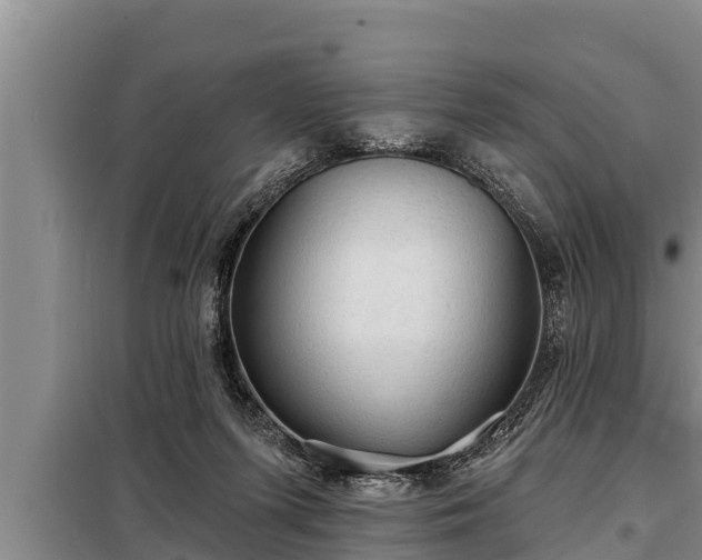 X0000098170215200805011021