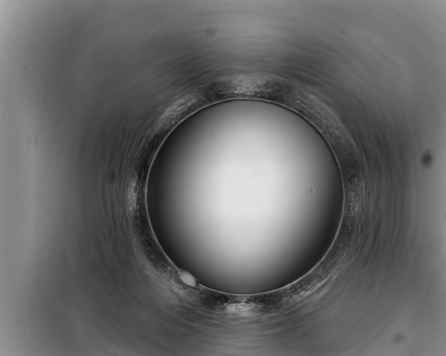 X0000098170216200805011021