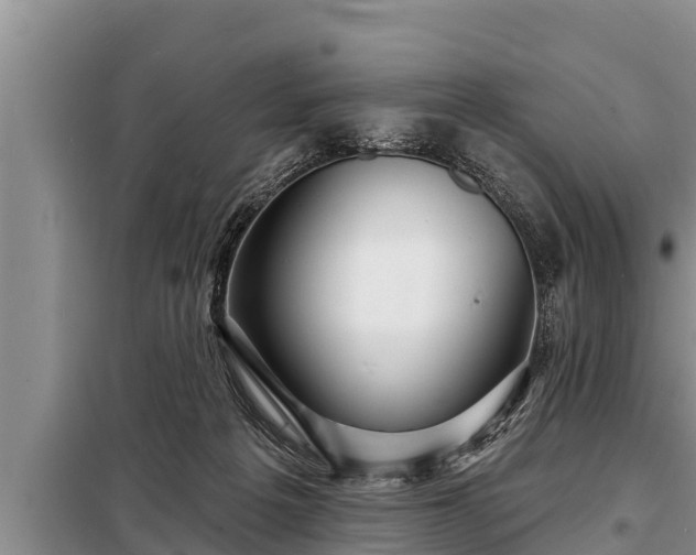 X0000098170217200805011021