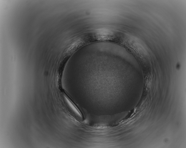 X0000098170219200805011021