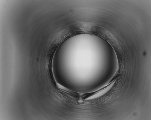 X0000098170221200805011021