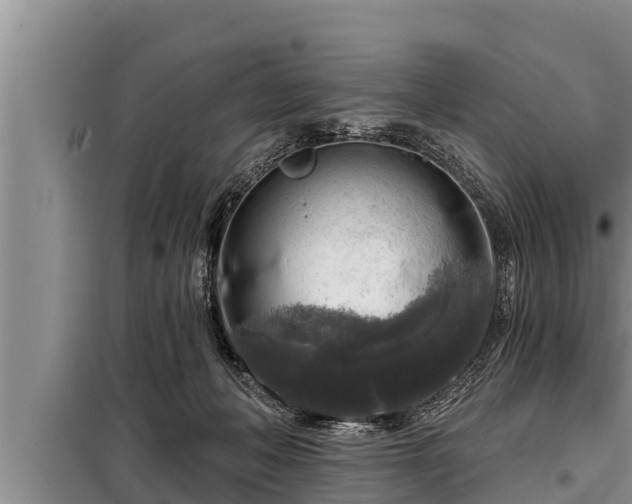 X0000098170222200805011021