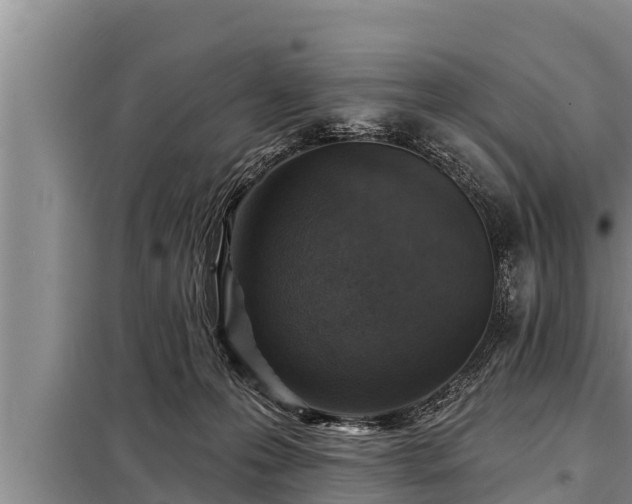 X0000098170223200805011021