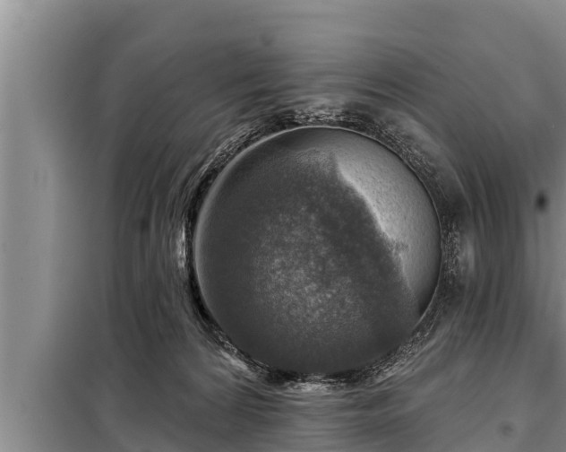 X0000098170224200805011021