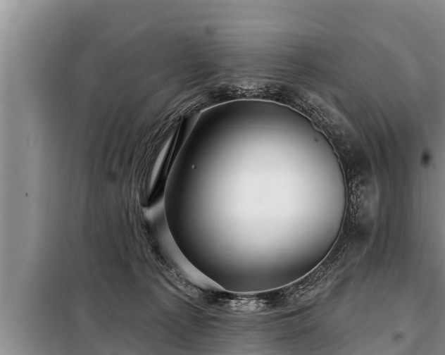 X0000098170225200805011021