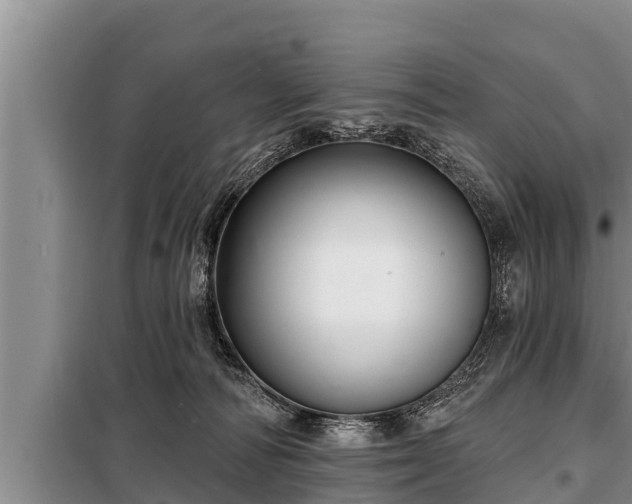 X0000098170226200805011021