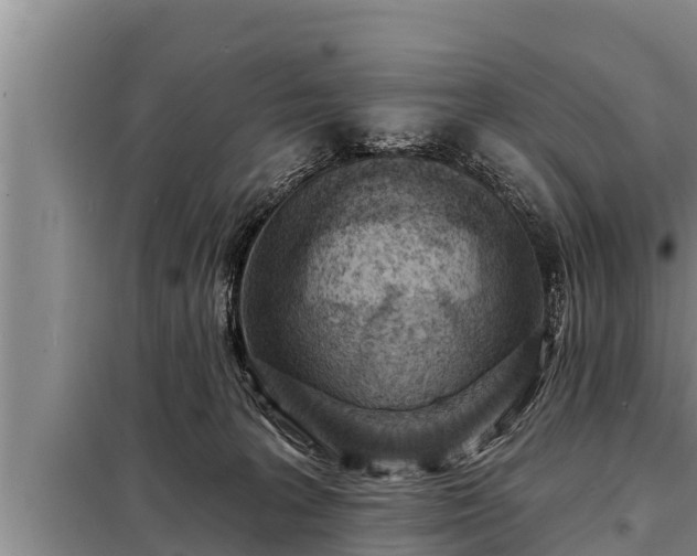 X0000098170227200805011021