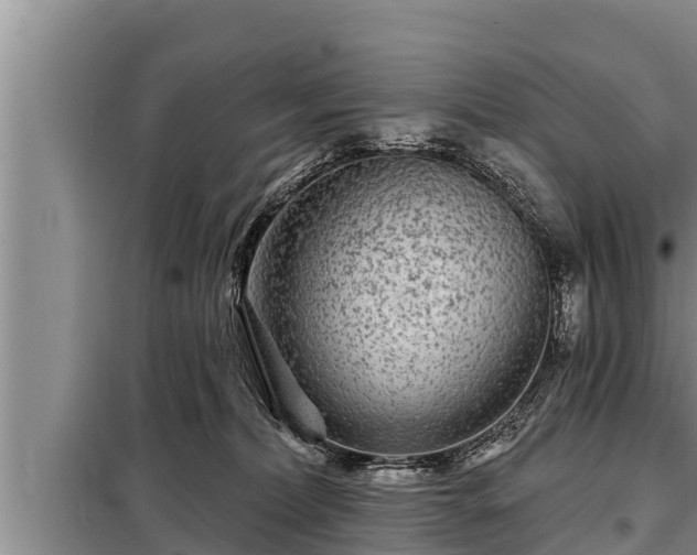 X0000098170228200805011021