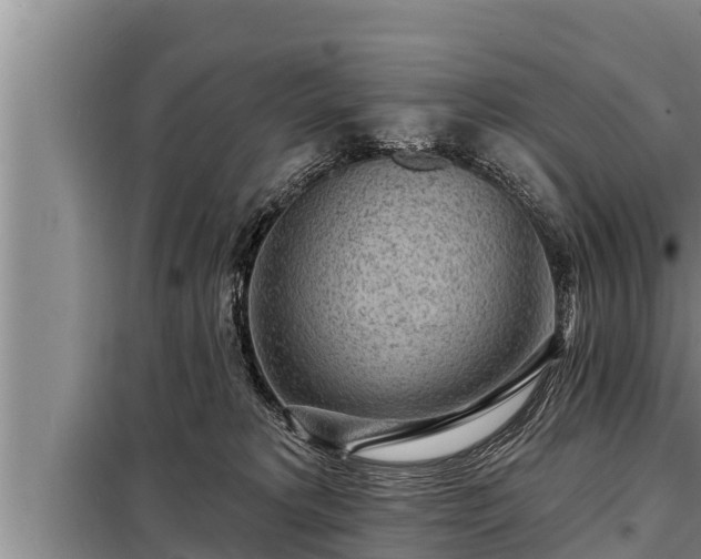 X0000098170229200805011021