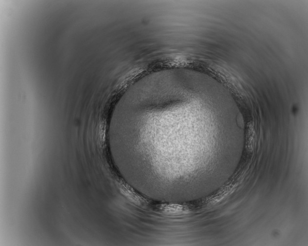 X0000098170230200805011021