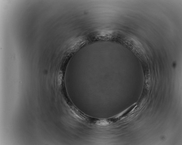 X0000098170231200805011021