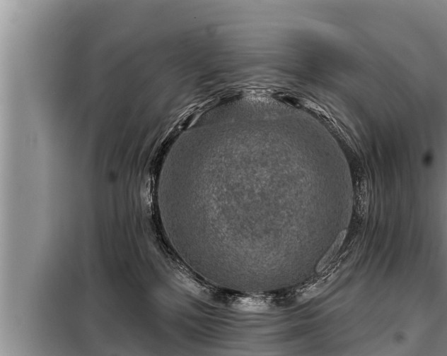 X0000098170232200805011021