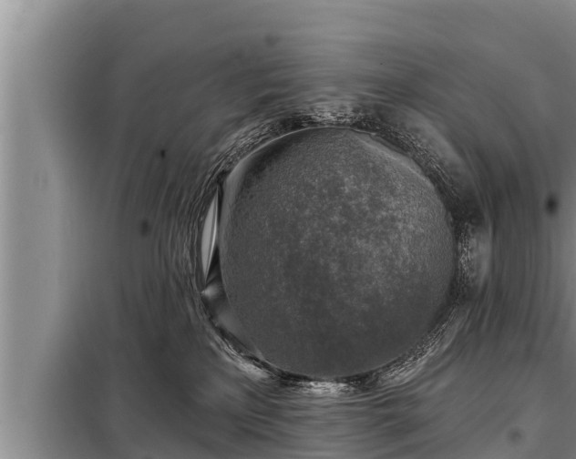 X0000098170233200805011021