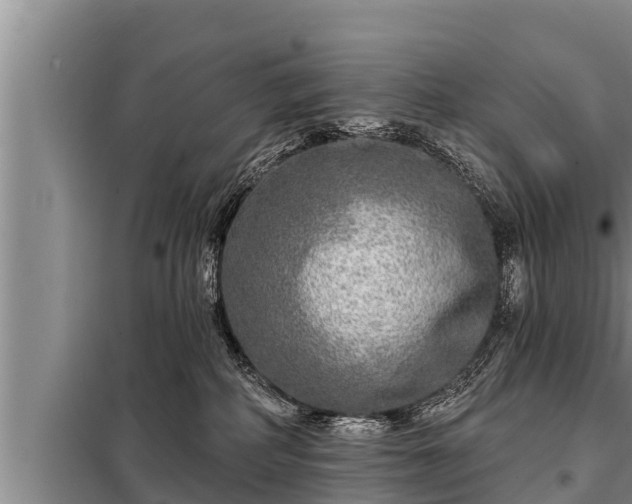 X0000098170234200805011021