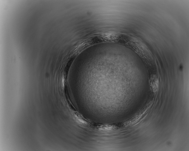 X0000098170235200805011021