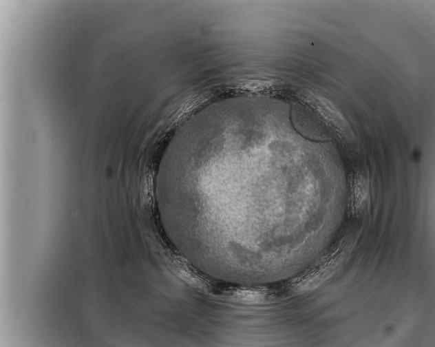 X0000098170236200805011021