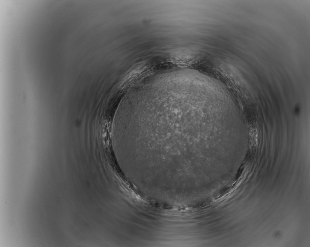 X0000098170237200805011021