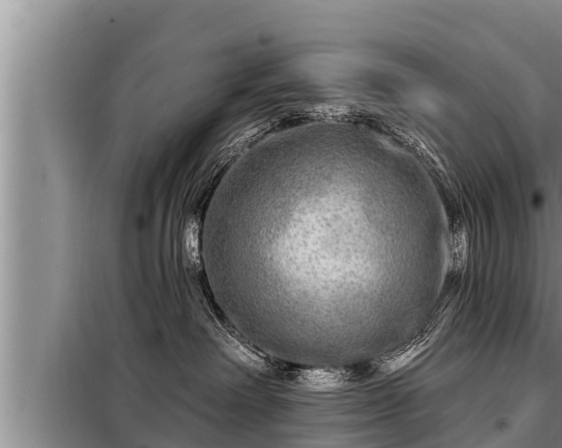 X0000098170238200805011021