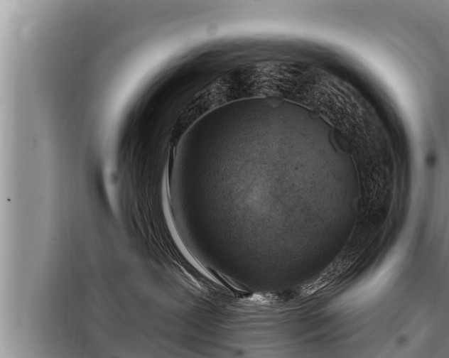 X0000098170239200805011021