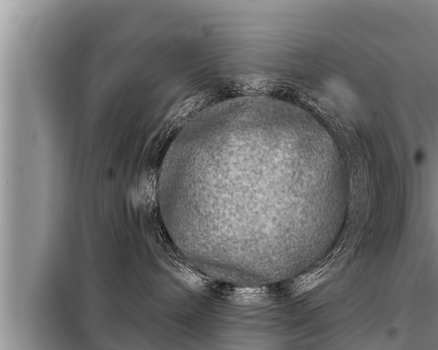 X0000098170240200805011021