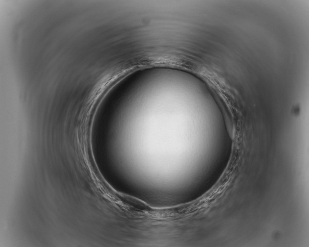 X0000098170241200805011020