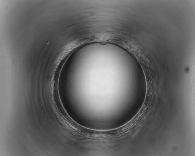 X0000098170242200805011020