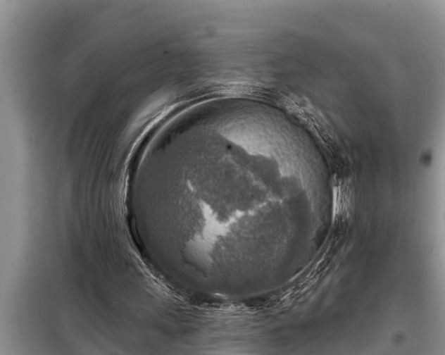 X0000098170243200805011020