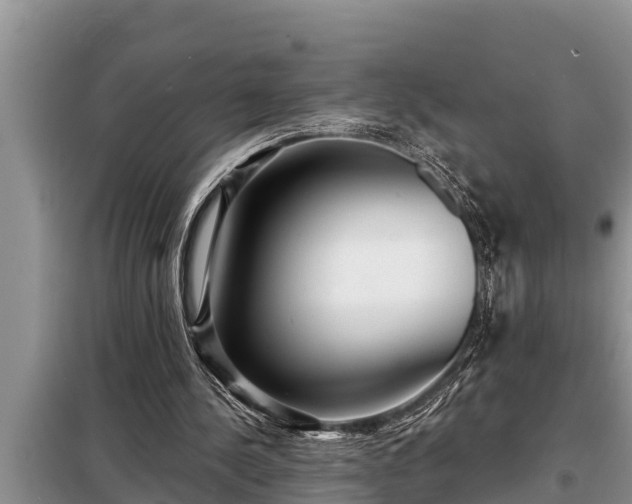 X0000098170244200805011020