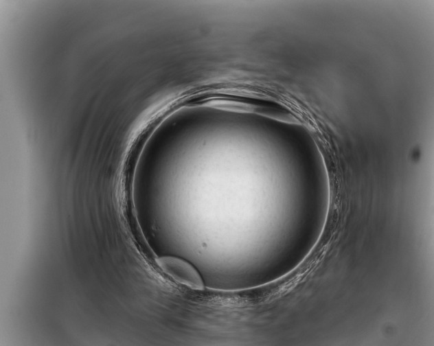 X0000098170245200805011020