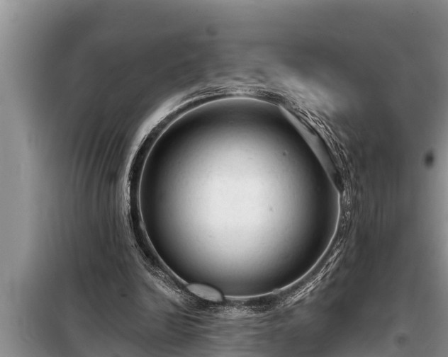 X0000098170246200805011020