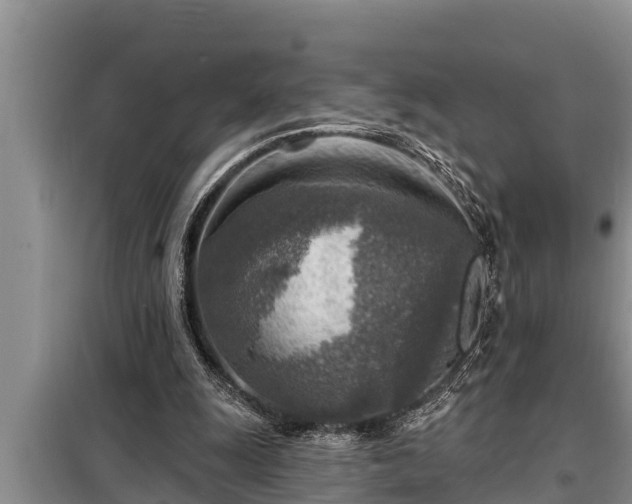 X0000098170247200805011020