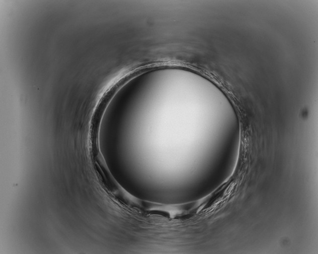 X0000098170248200805011020