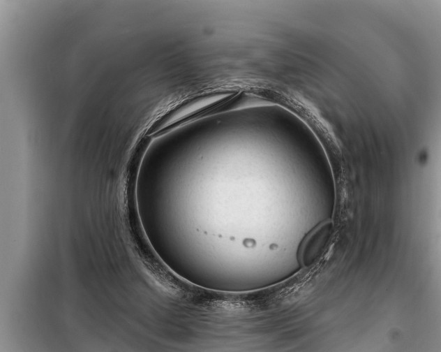 X0000098170250200805011020