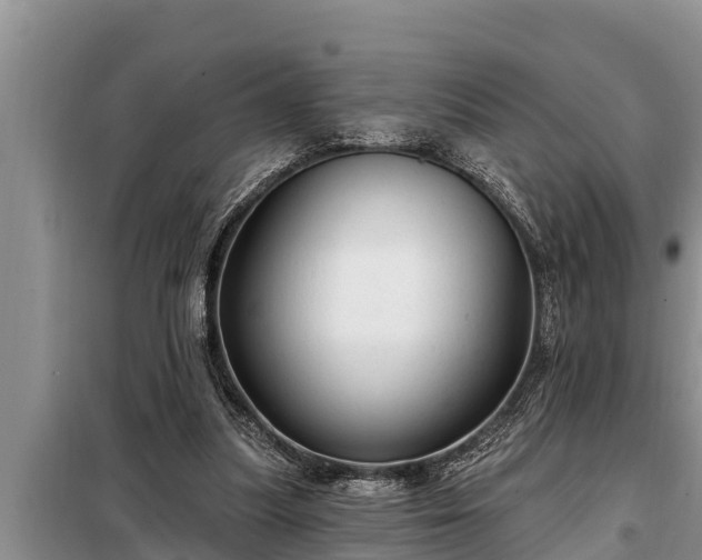 X0000098170251200805011020