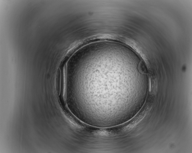 X0000098170253200805011020