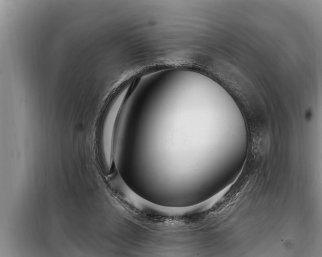 X0000098170256200805011020