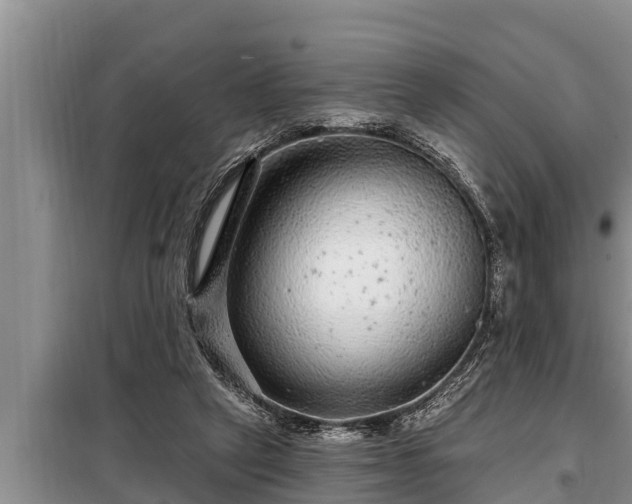 X0000098170257200805011020