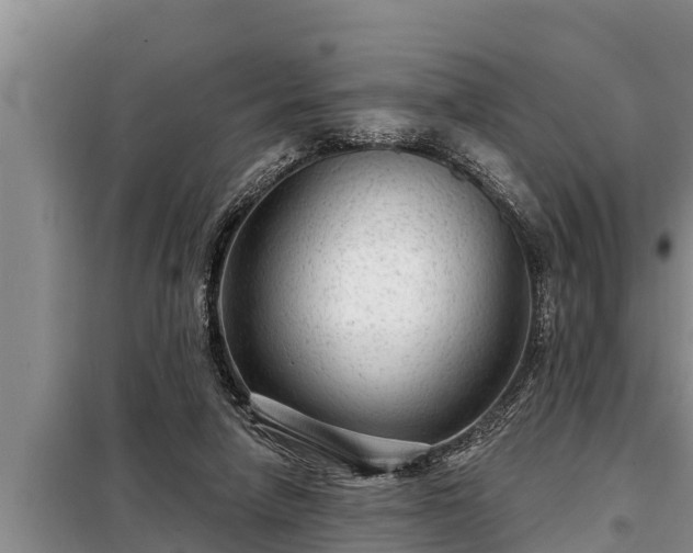 X0000098170258200805011020