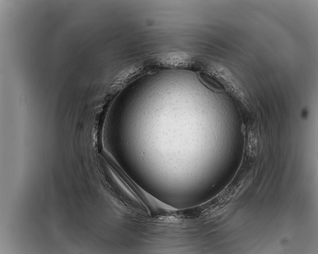 X0000098170259200805011020